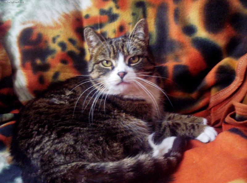 Foto: L�zinka-L�zinka si hraje na modelku :))