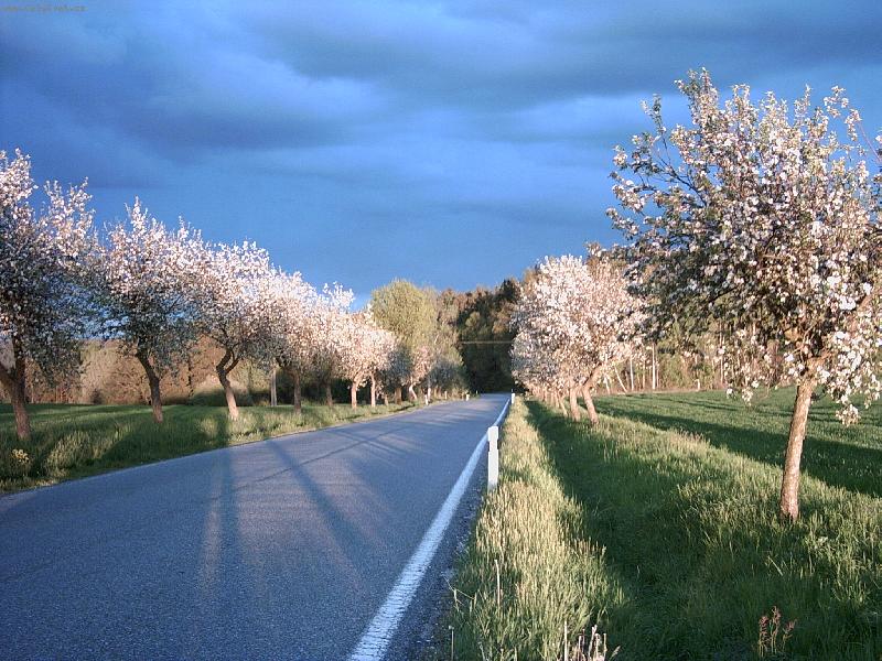 Foto: Dobr� sv�tlo