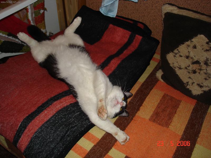 Foto: D�on�k-nem�m co na pr�ci