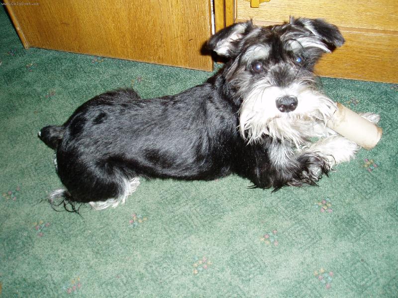 Foto: Pap�r do�el