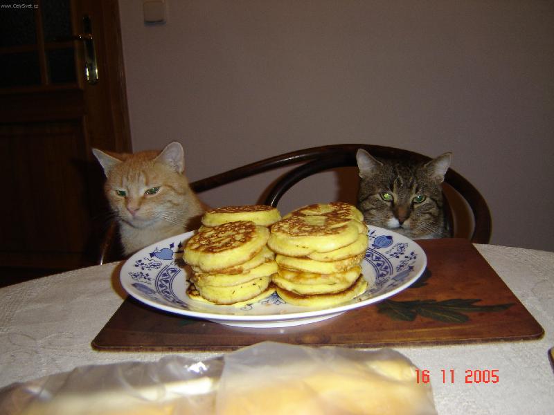 Foto: jejda toto von�..........-kocourci �ekaj� a� se oto��m z�dy do t� doby si nevemou