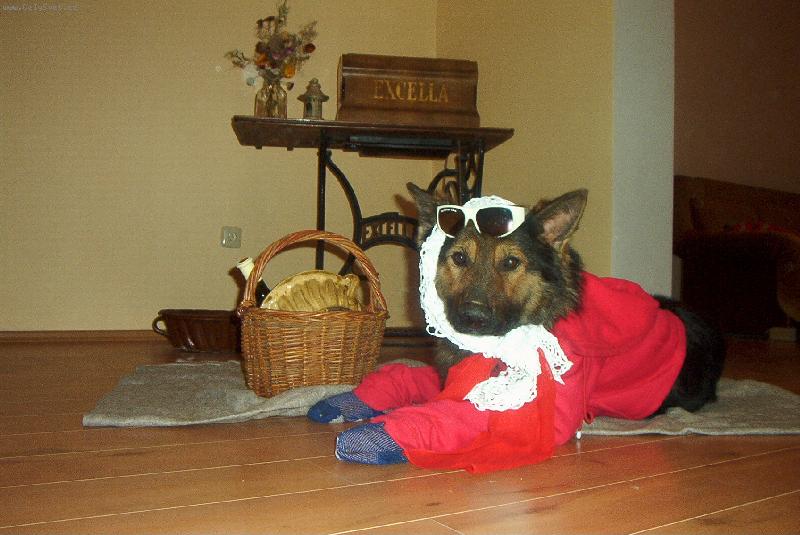 Foto: �erven� Karkulka