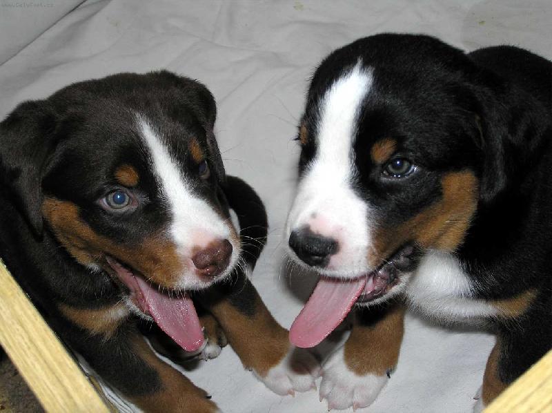 Foto: J� ho m�m del��