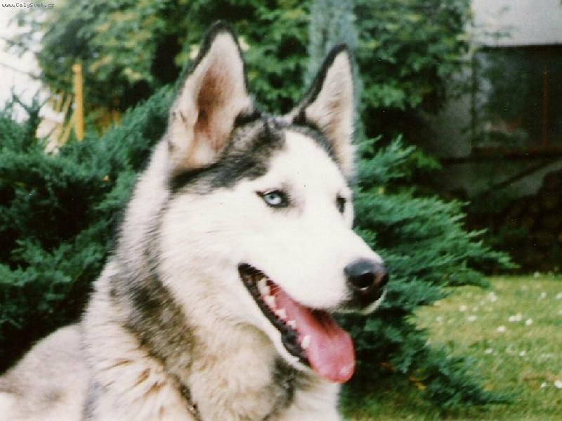 Foto: SEY-na zahr�dce