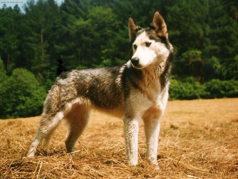 Foto: SEY-pod Velk��em