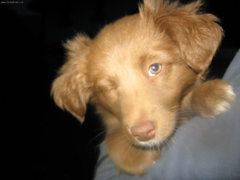 Foto: Kuk!-J� t� vid�m...