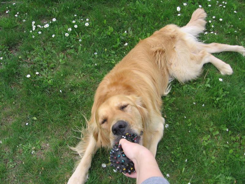 Foto: B�rt-Ned�m!!!