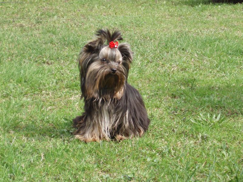 Foto: Baru�ka-na zahrad�