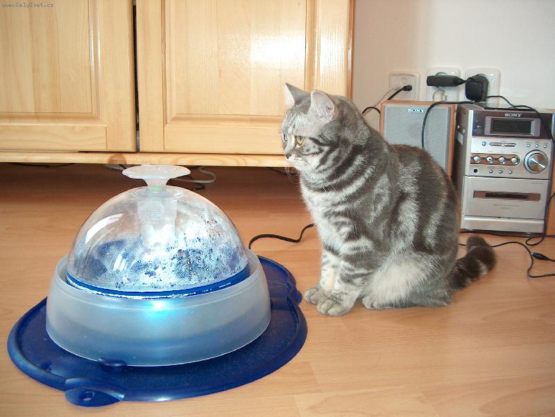 Foto: D�da-M�m novou hra�ku