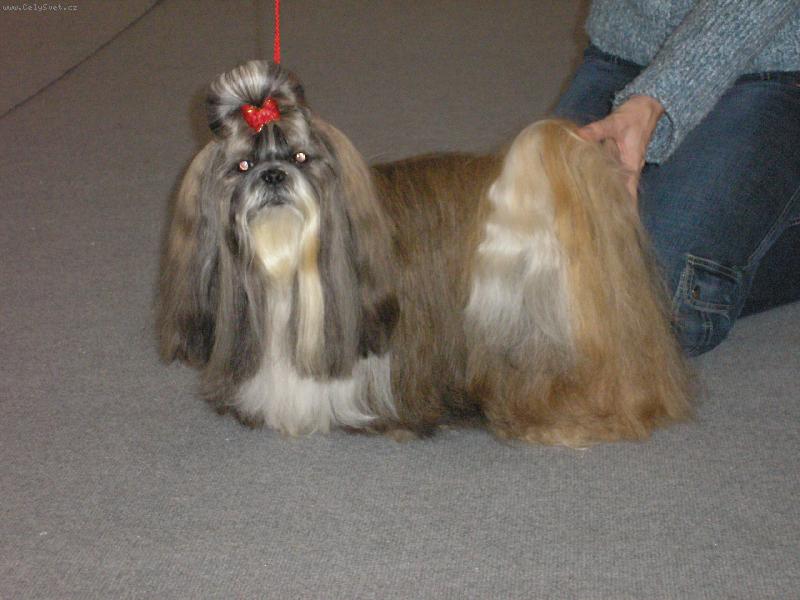 Foto: CH.Jeron Atrei-Na v�stave