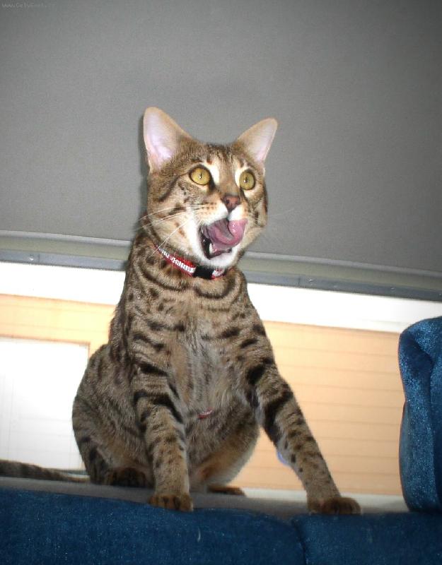 Foto: po sn�dan�