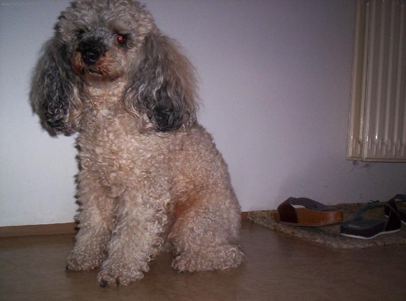 Foto: Ketynka-To sem j�������