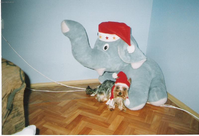 Foto: v�no�n� pozdrav-j� a m�j velk� br�cha