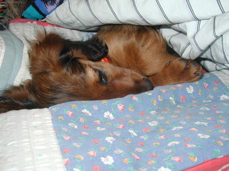 Foto: na�e S�rinka