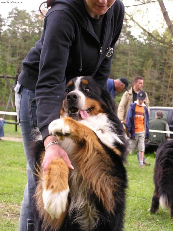 Foto: Ciro-Mazl��ek