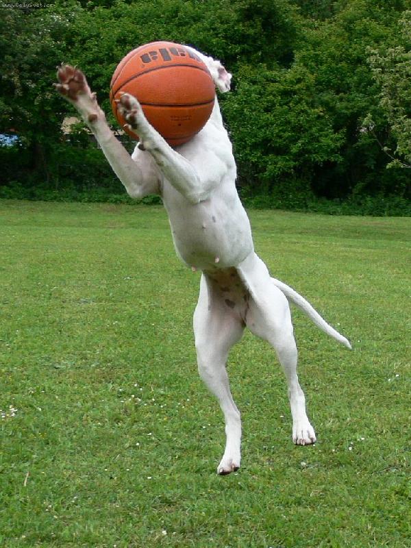 Foto: Maskovan�...