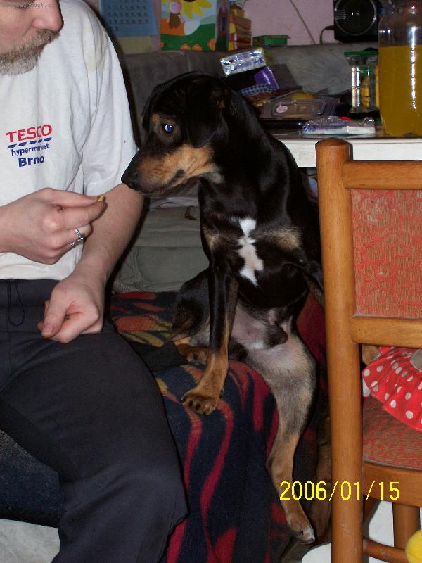 Foto: co bude k papu?-Sam sed� u stolu