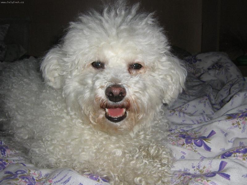 Foto: Moje slun��ko