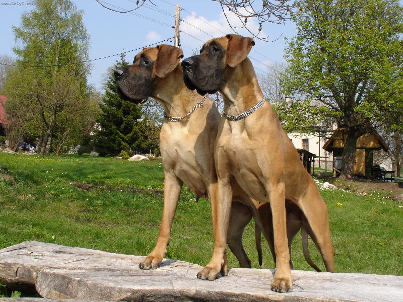 Foto: Akki+AIRIS-poctiv� hl�dame!!!!