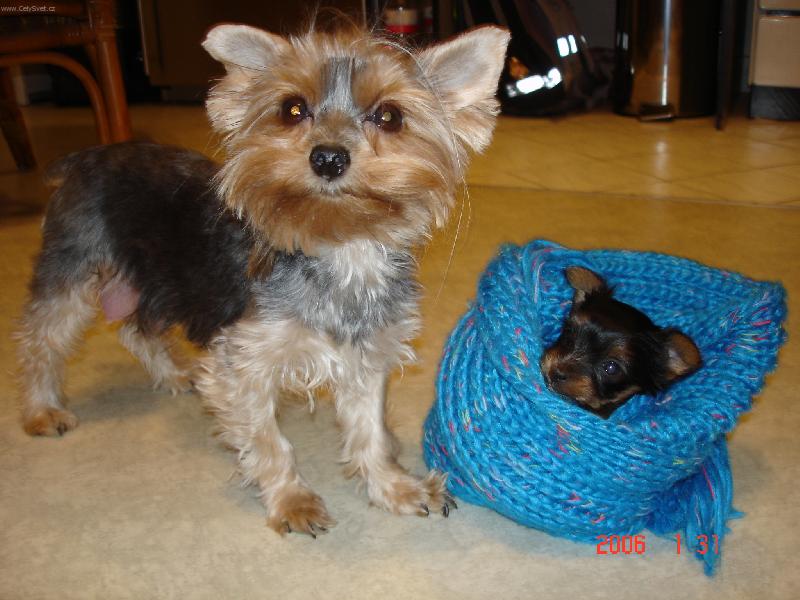 Foto: Ta m�ma m� v�ude najde...