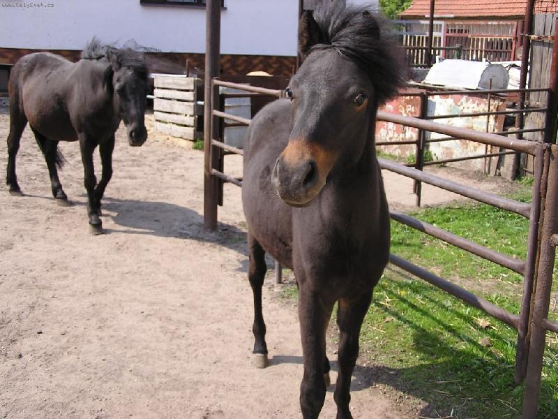 Foto: Vendel�nek-Tak na to se jdu kouknout z bl�zka