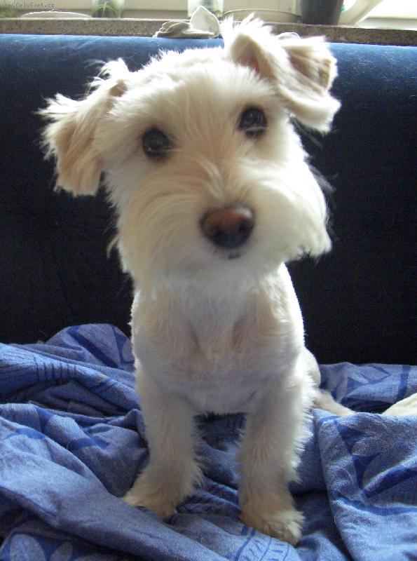 Foto: Bar�a-Tak se m� p�eci n�kdo ujal