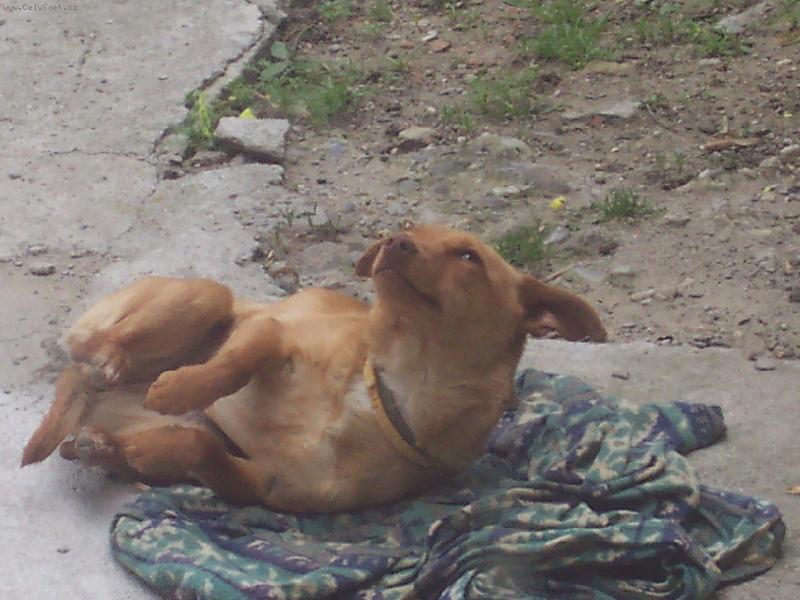 Foto: U� bych m�la vst�vat...