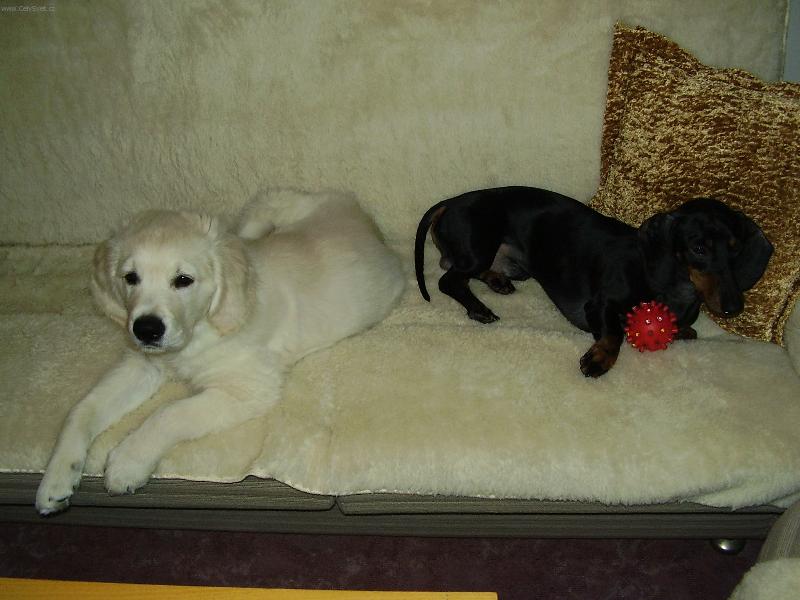 Foto: kamaradi na cel� �ivot