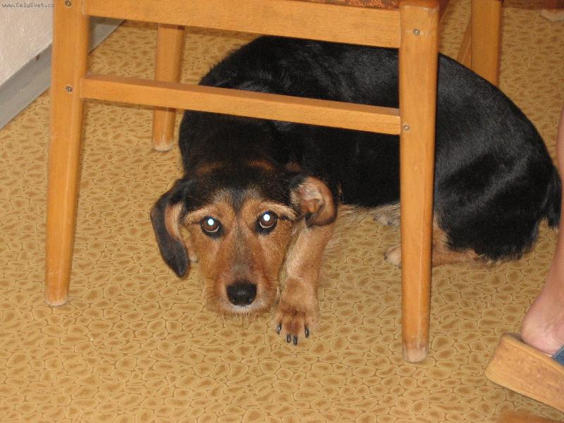 Foto: Vystra�en� Tery