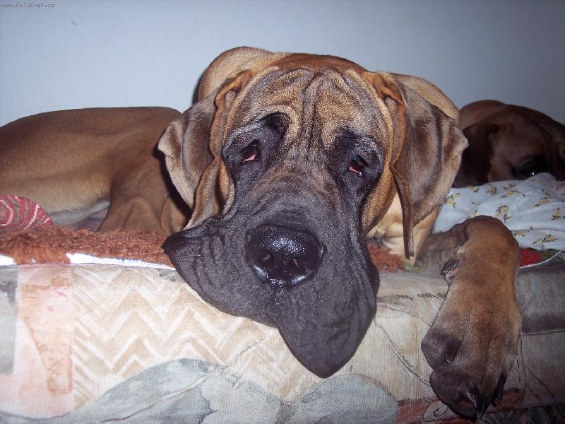 Foto: ODPO��V�M-JSEM UNAVEN�