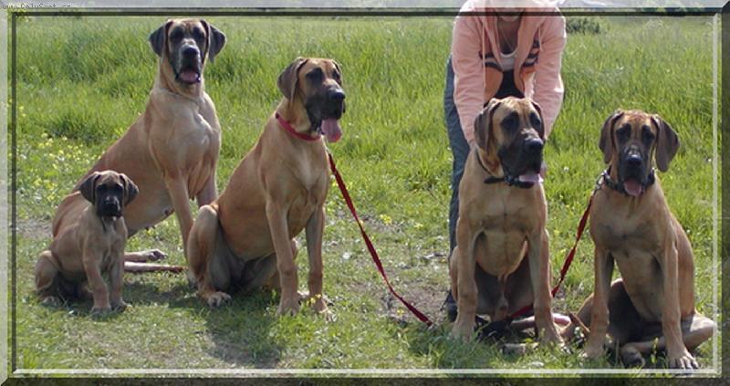 Foto: Ascani von Graslic