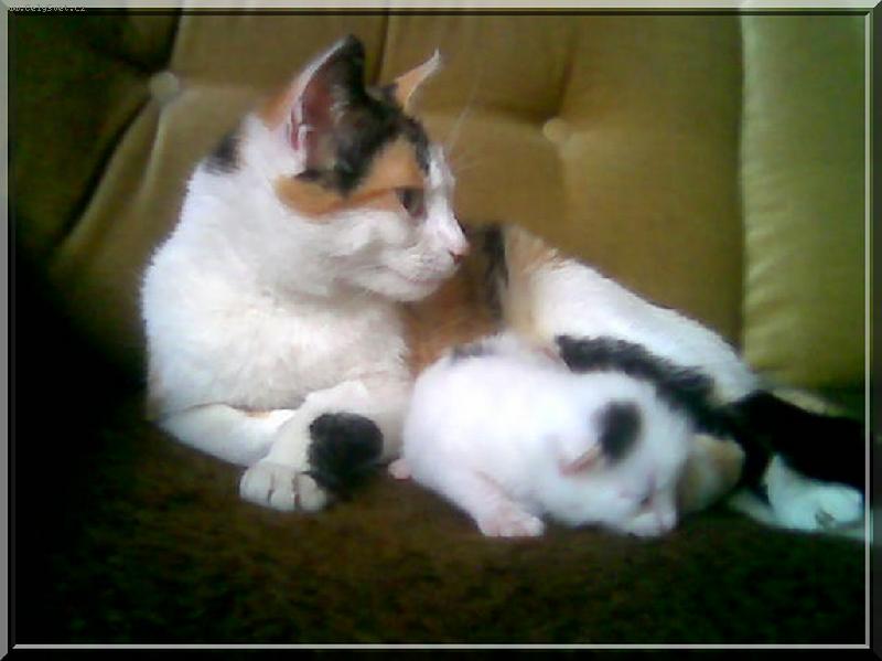 Foto: Majda a mim�o