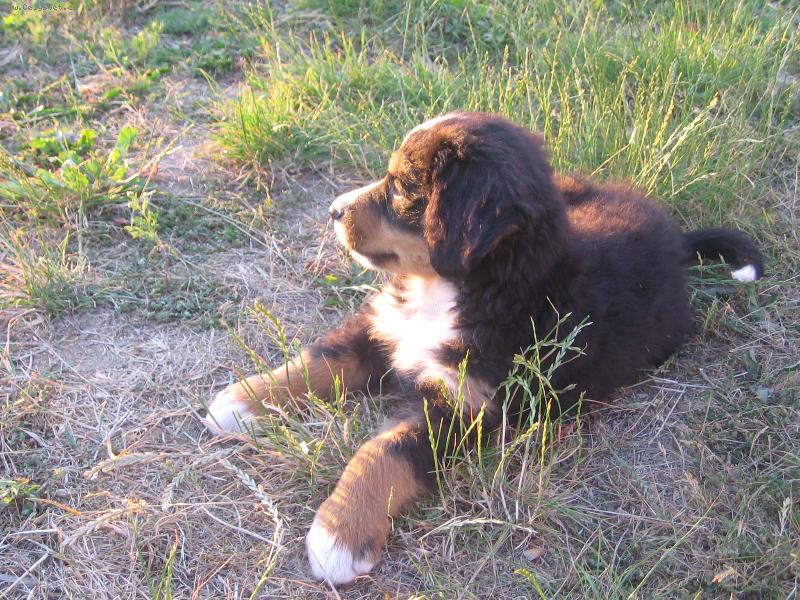 Foto: Z�pad slunce