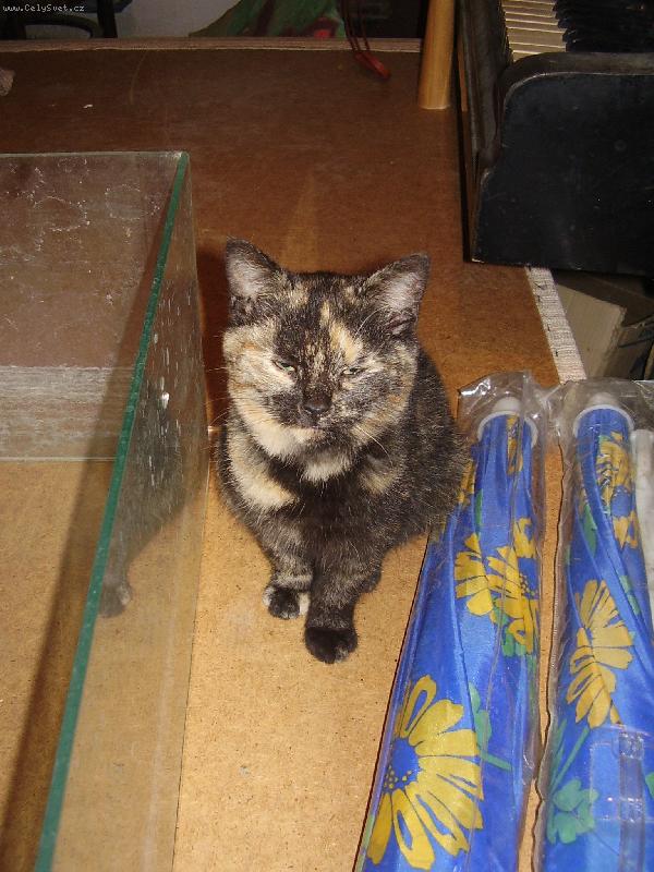 Foto: Jenny n�m us�n�-Nespi Jenny!!!