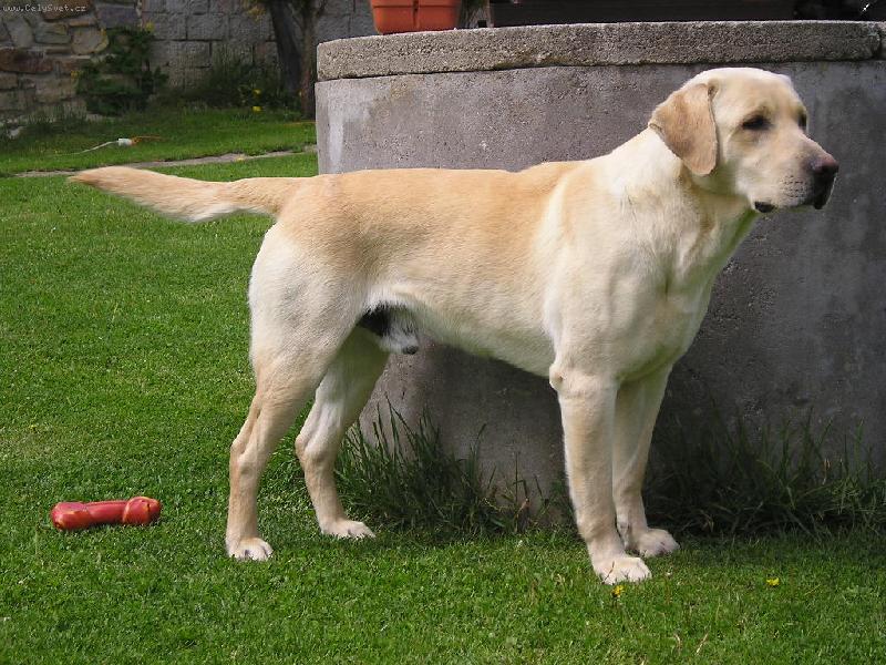 Foto: O�ek�v�n�-Kdopak to jde?