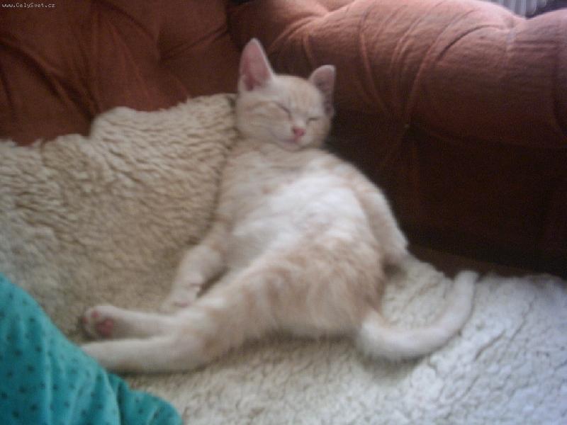 Foto: Chrrr...-Mat�sek poprv�