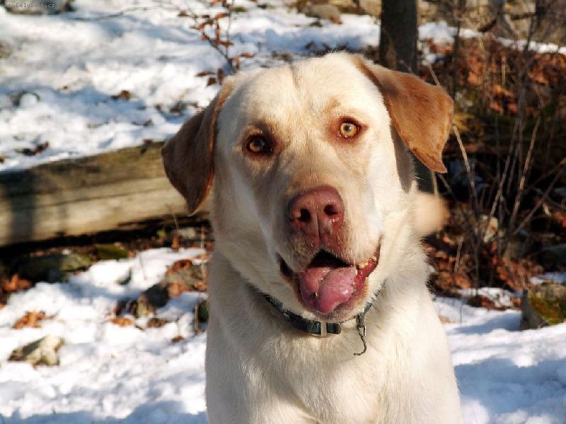 Foto: Bax�k-Tak co bude???