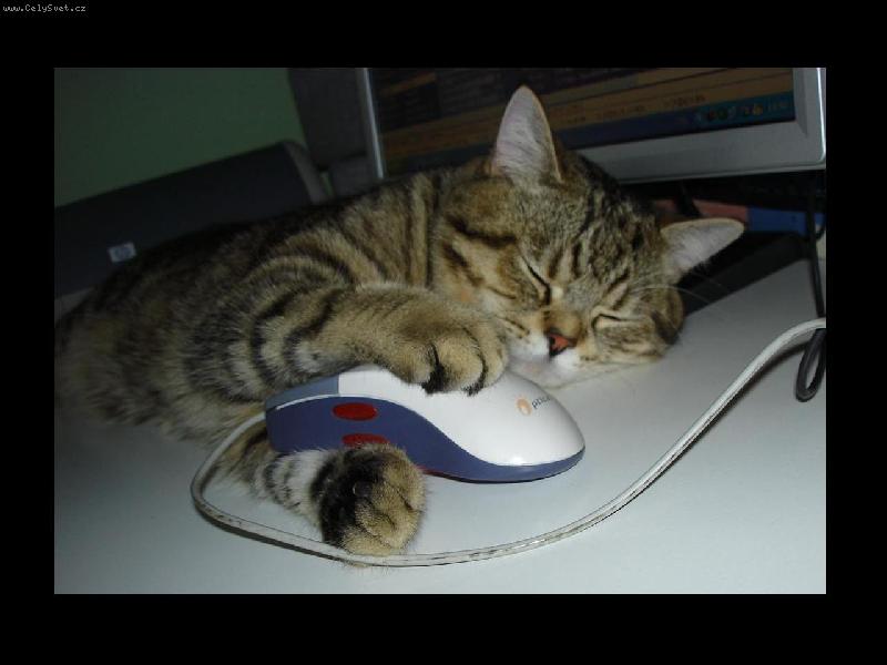 Foto: Kone�n� jsem ji chytil-moje prvn� my�!