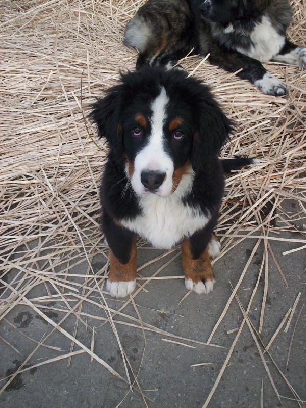 Foto: ale j� jsem nic neprovedl