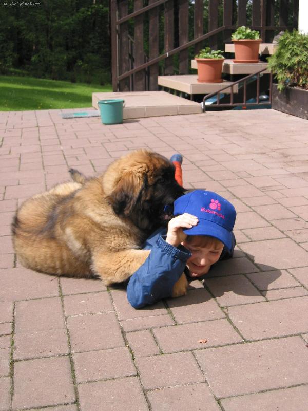 Foto: Artu� Quin. Galaxy Oss-M�m t� moc r���d!