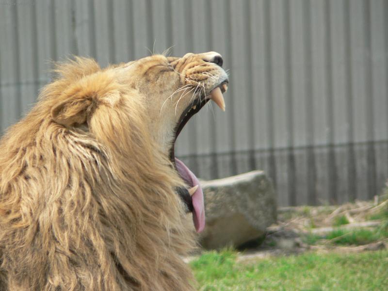 Foto: Ko�i�ka-Jen tak si trochu z�vnout :)