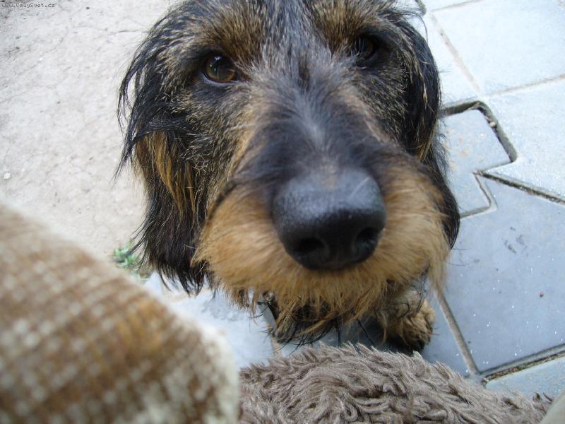 Foto: Ben�k-a ne Nen�k!