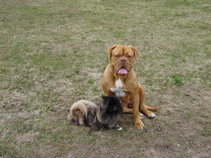 Foto: Judynka a Baru�ka