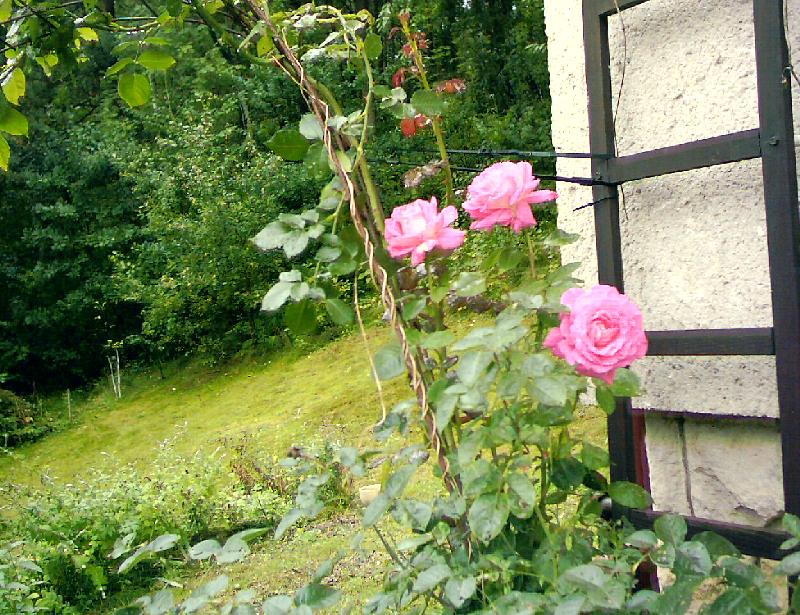 Foto: M� nejmilej��