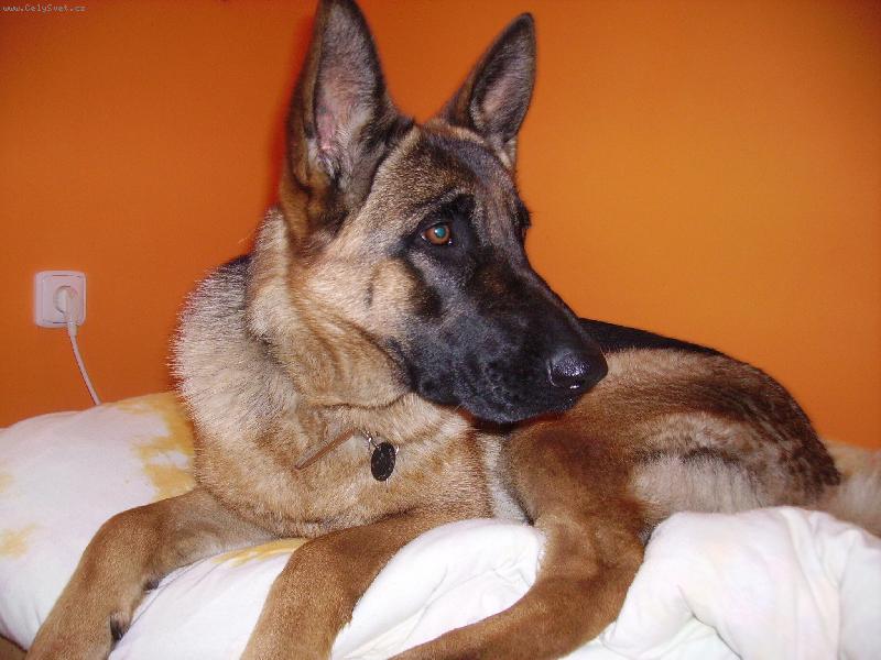 Foto: Pohod��ka Kerry