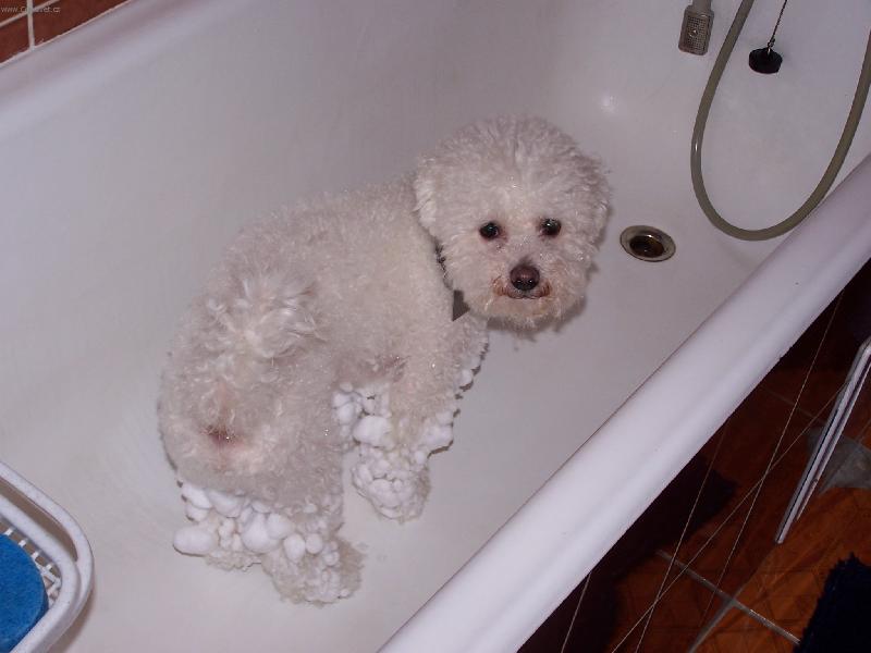 Foto: Mazl��ek-Bi�onek Kenny