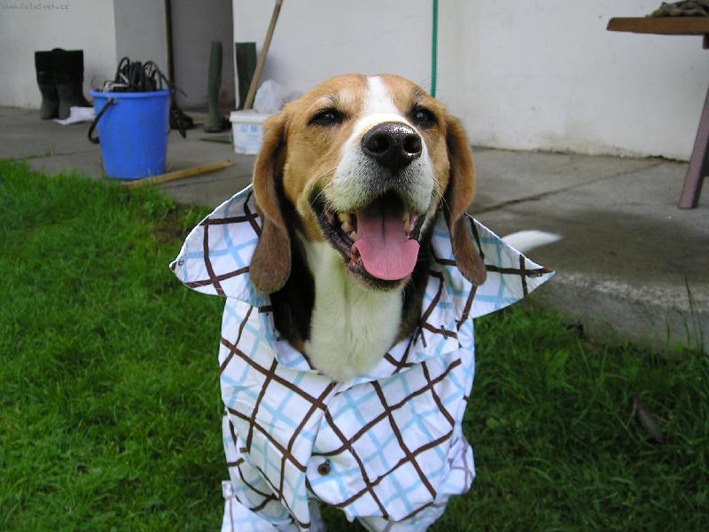 Foto: Fido-ViM CO JE IN!