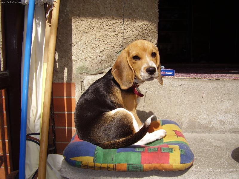 Foto: P�em��l�m