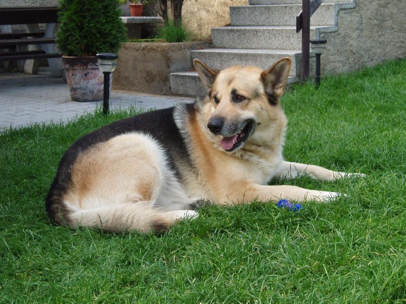 Foto: Artur-Ko to zase zvon�..