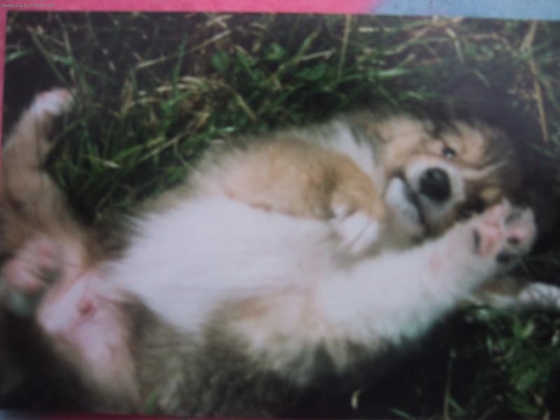 Foto: UKA� B�͊KO !!-ADRI�NEK